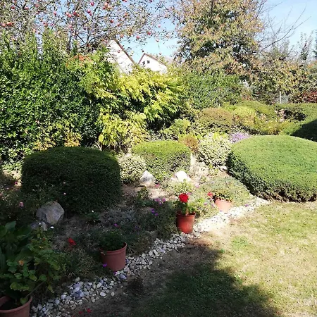 Daire In 20662 Zalakaros