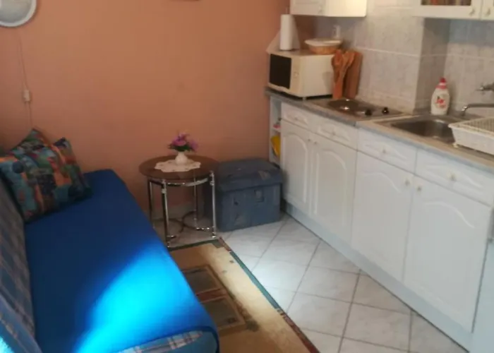 In 20662 Daire Zalakaros